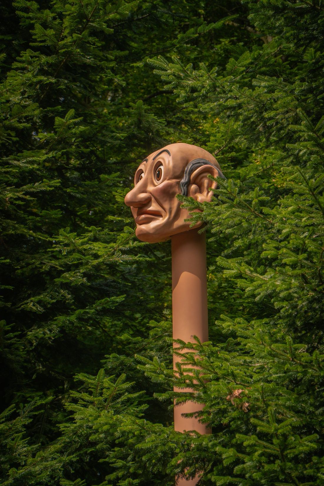 Langnek